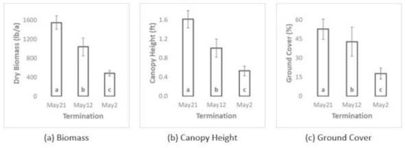 Effect of termination timing on biomass